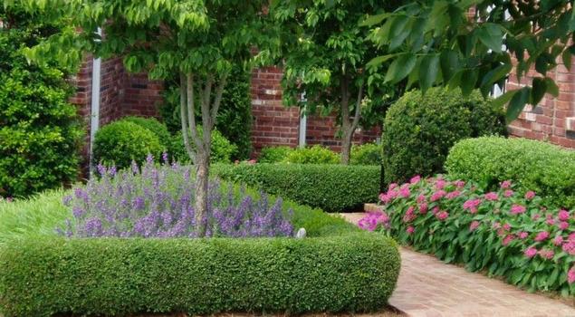 Ogrody angielskie. Jak zaplanować rośliny ogrodowe i krzewy ozdobne?
